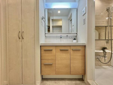 _ސ쌧ls敽1ڂ̒Ã}V̐ʑEʏ