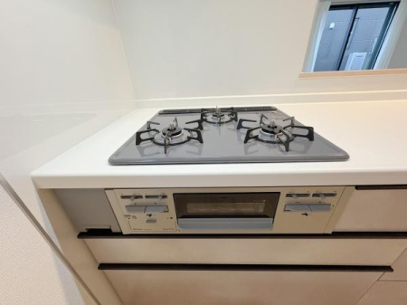 _ސ쌧ԎsI3ڂ̐VzˌẴLb`