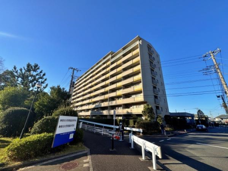 _ސ쌧ls΋X̑̒Ã}V̌nOώʐ^