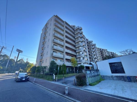 _ސ쌧ls΋X̑̒Ã}V̂̑