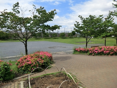 _ސ쌧lss}摁3ڂ̐VzˌĂ̎ӊ