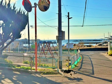 _ސ쌧{s6ڂ̐VzˌĂ̂̑