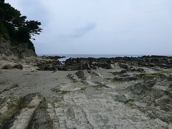 _ސ쌧{s6ڂ̐VzˌĂ̎ӊ