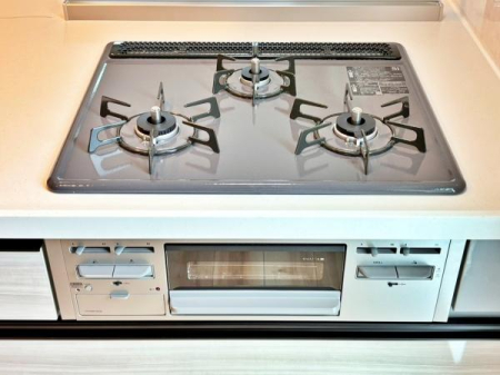 �_�ސ쌧���l�s�����x����1���ڂ̐V�z��ˌ��ẴL�b�`��