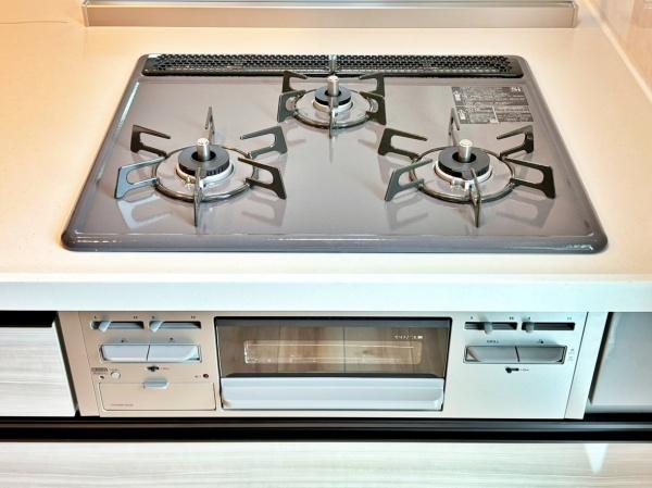 �_�ސ쌧���l�s�����x����1���ڂ̐V�z��ˌ��ẴL�b�`��