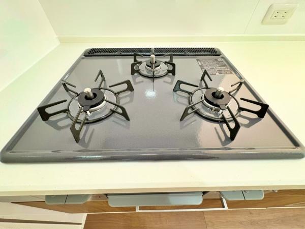 _ސ쌧lsZY1ڂ̐VzˌẴLb`