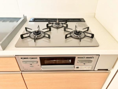 �_�ސ쌧���l�s���i�c�R����̐V�z��ˌ��ẴL�b�`��