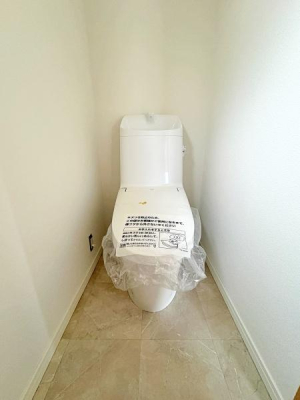 �_�ސ쌧������s���v�ۂ̒��È�ˌ��Ẵg�C��