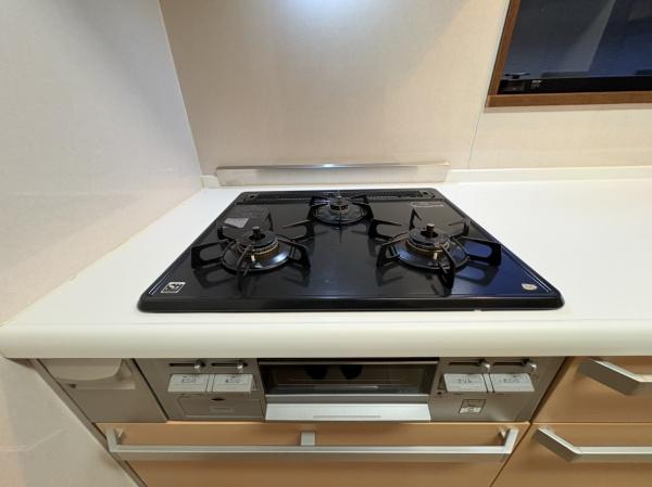 �_�ސ쌧����s�Ó��7���ڂ̒��È�ˌ��ẴL�b�`��