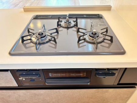 �_�ސ쌧���l�s�t�悠���ݖ�4���ڂ̐V�z��ˌ��ẴL�b�`��