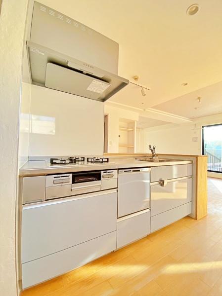 �_�ސ쌧���l�s�ߌ��抁�R1���ڂ̒��Ã}���V�����̃L�b�`��