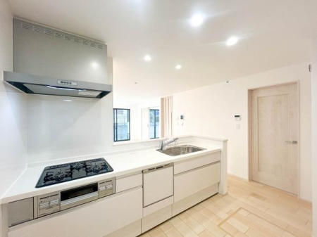 �_�ސ쌧���l�s�s�}�擌�R�c4���ڂ̐V�z��ˌ��ẴL�b�`��