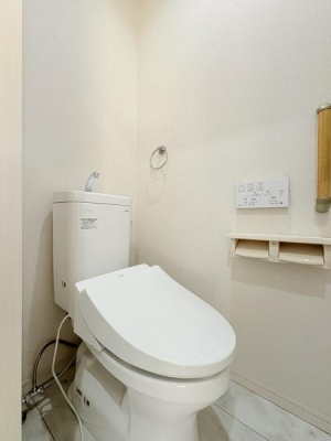 �_�ސ쌧���l�s�ۓy�P�J��@��2���ڂ̒��È�ˌ��Ẵg�C��