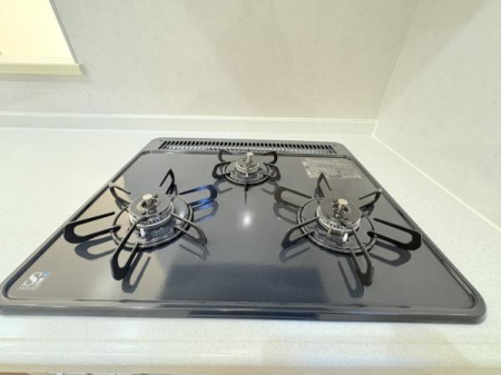 �_�ސ쌧���l�s�ۓy�P�J��@��2���ڂ̒��È�ˌ��ẴL�b�`��