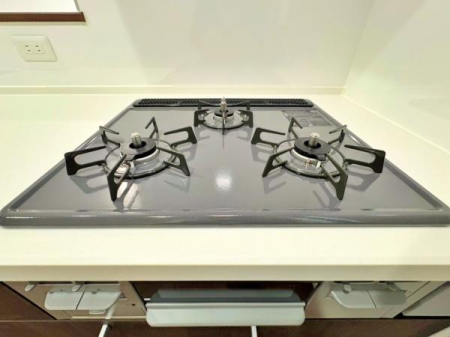 �_�ސ쌧���l�s�`��擌�i�J3���ڂ̐V�z��ˌ��ẴL�b�`��