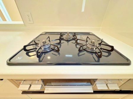 �_�ސ쌧���l�s���J�拴��3���ڂ̐V�z��ˌ��ẴL�b�`��