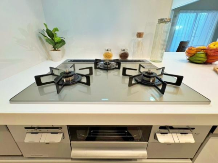 �_�ސ쌧���l�s�_�ސ��O�c�򉺒��̒��Ã}���V�����̃L�b�`��