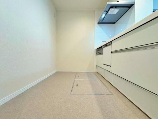 �_�ސ쌧���l�s�_�ސ��O�c�򉺒��̒��Ã}���V�����̃L�b�`��