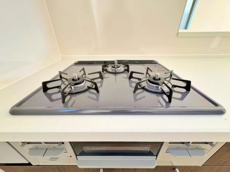 �_�ސ쌧����s�P�s6���ڂ̐V�z��ˌ��ẴL�b�`��