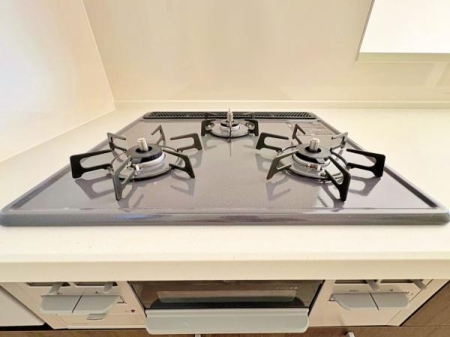 �_�ސ쌧����s�P�s6���ڂ̐V�z��ˌ��ẴL�b�`��