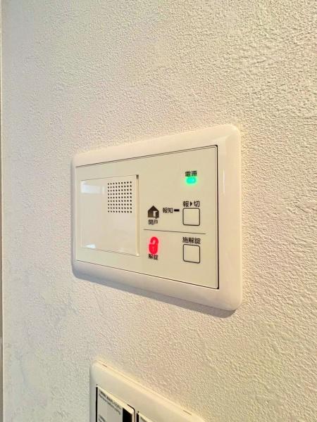 �_�ސ쌧���l�s�h���V���̐V�z��ˌ��Ă̂��̑�