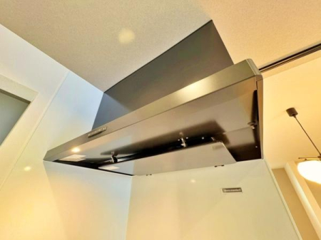 �_�ސ쌧���l�s�h���V���̐V�z��ˌ��ẴL�b�`��