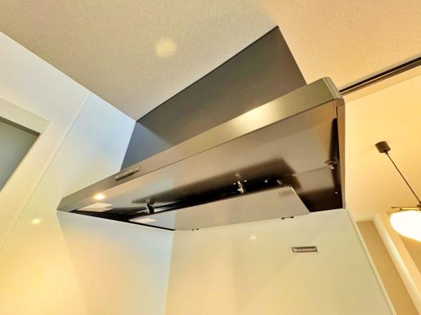 �_�ސ쌧���l�s�h���V���̐V�z��ˌ��ẴL�b�`��