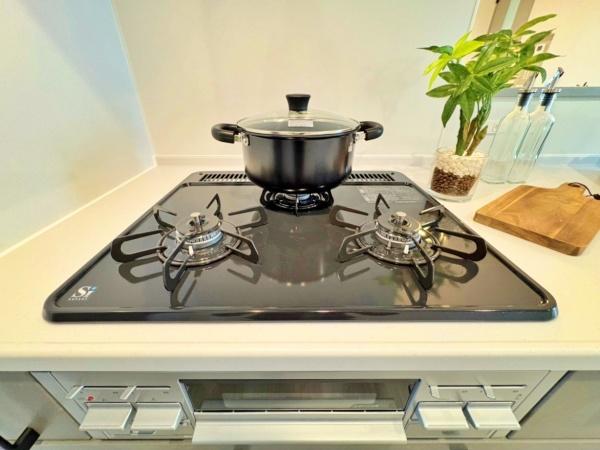 �_�ސ쌧���l�s�h���V���̐V�z��ˌ��ẴL�b�`��