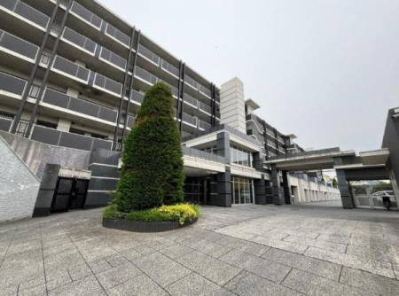 �_�ސ쌧���l�s���攒��8���ڂ̒��Ã}���V�����̌��n�O�ώʐ^