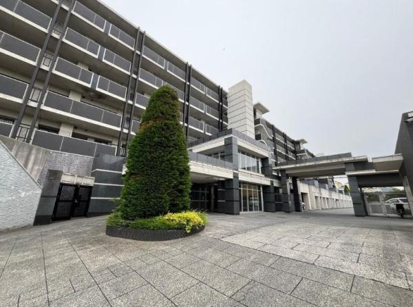 �_�ސ쌧���l�s���攒��8���ڂ̒��Ã}���V�����̌��n�O�ώʐ^