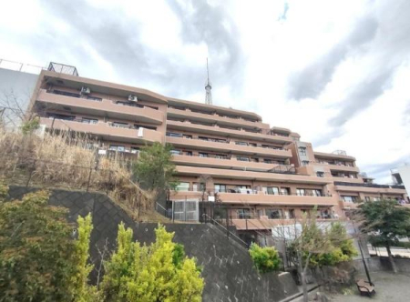 �_�ސ쌧���l�s���i�c�R����̒��Ã}���V�����̌��n�O�ώʐ^