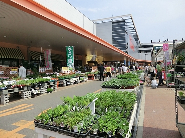 �_�ސ쌧���l�s����V�R��3���ڂ̒��Ã}���V�����̎��ӊ�