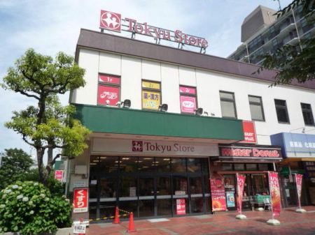 �_�ސ쌧���l�s�����V��̓y�n�̎��ӊ�