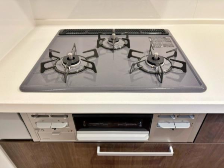 �_�ސ쌧���l�s���J�扺���J3���ڂ̐V�z��ˌ��ẴL�b�`��