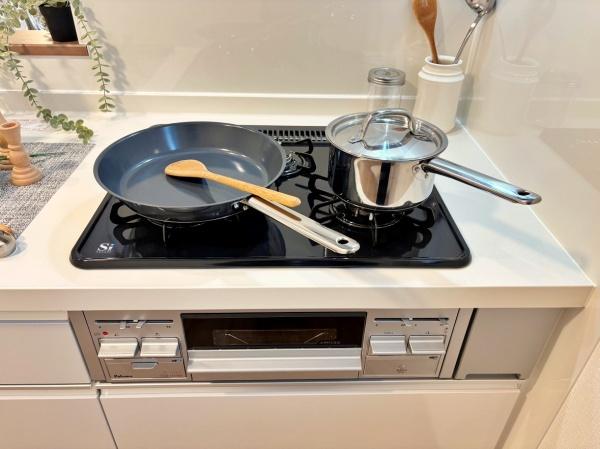 �_�ސ쌧���l�s���J���c�����̐V�z��ˌ��ẴL�b�`��