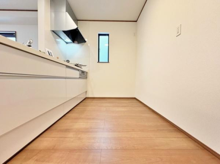 �_�ސ쌧���l�s���J���c�����̐V�z��ˌ��ẴL�b�`��