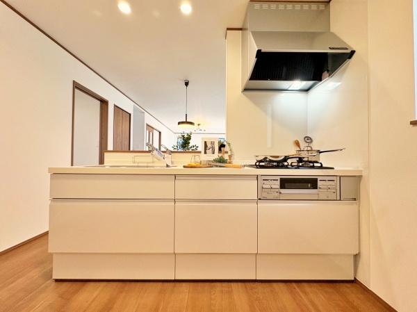 �_�ސ쌧���l�s���J���c�����̐V�z��ˌ��ẴL�b�`��