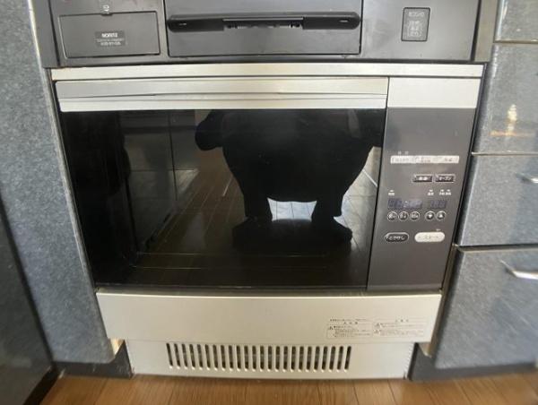 �_�ސ쌧���l�s�h�撆�쒬�̒��È�ˌ��Ă̂��̑�