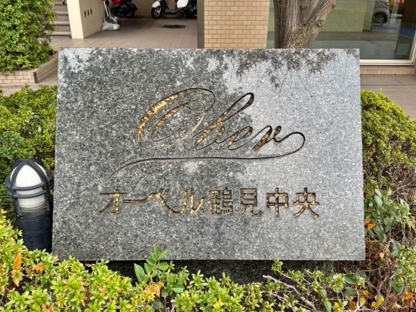 �_�ސ쌧���l�s�ߌ���ߌ�����3���ڂ̒��Ã}���V�����̂��̑�