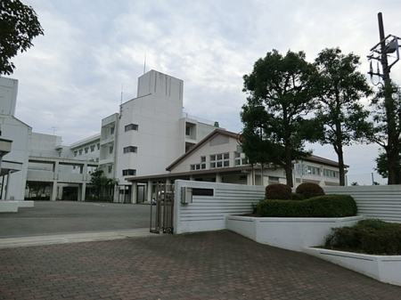 �_�ސ쌧���l�s�h�擌�㋽���̒��È�ˌ��Ă̎��ӊ�