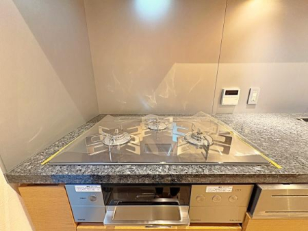 �����s���c�J���n3���ڂ̒��È�ˌ��ẴL�b�`��