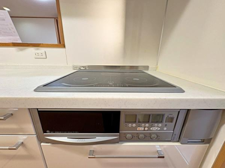 �_�ސ쌧���l�s�h�擌�㋽���̒��È�ˌ��ẴL�b�`��