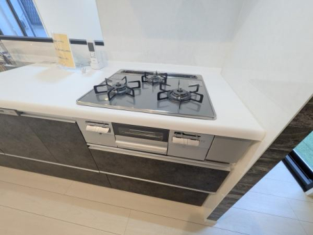 �_�ސ쌧���l�s����{�����̒��È�ˌ��ẴL�b�`��