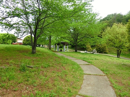 �_�ސ쌧���l�s�t��s�P�����̒��È�ˌ��Ă̎��ӊ�