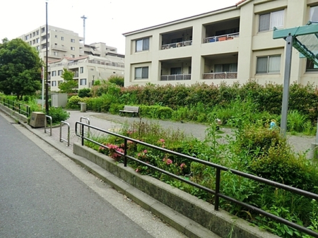 �_�ސ쌧���l�s�ߌ��掂�q�P�J2���ڂ̐V�z��ˌ��Ă̎��ӊ�