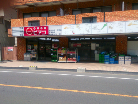 �_�ސ쌧���l�s�΋攒�R2���ڂ̒��Ã}���V�����̎��ӊ�