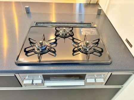 �_�ސ쌧���l�s�`�k��V�H���̐V�z��ˌ��ẴL�b�`��