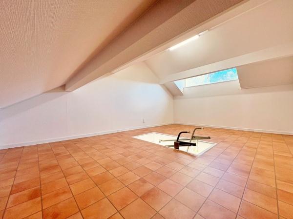 �_�ސ쌧���s�����摁��̒��È�ˌ��Ă̎��[