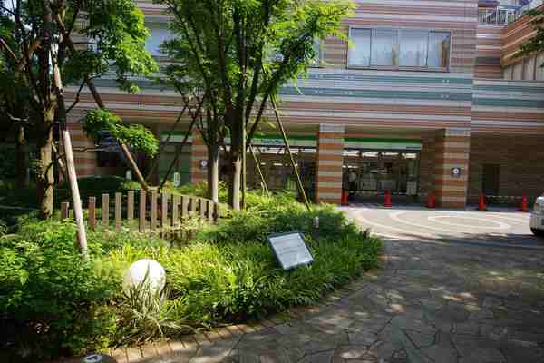 �_�ސ쌧���s�����撆�ێq�̒��Ã}���V�����̎��ӊ�