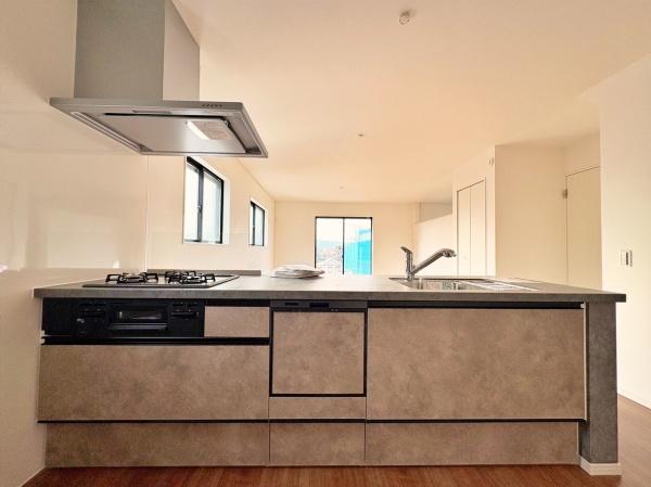 �_�ސ쌧���l�s����{�h���̐V�z��ˌ��ẴL�b�`��